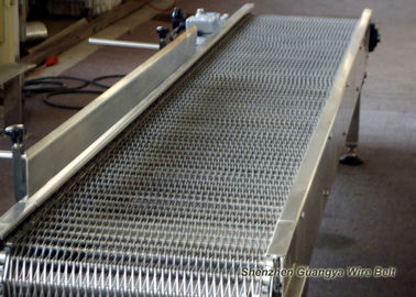 ステンレス鋼304のよい透明物を洗浄するための適用範囲が広いコンベヤー ベルトの網